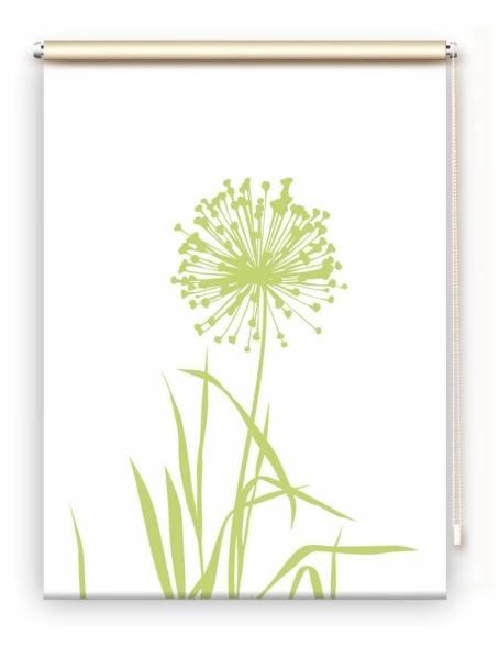 Rollo Allium 24 blanco Apfel, Rollo, Motivrollo, Rollo mit Druck, Fotorollo, bedrucktes Rollo, Fensterrollo,verdunkelndes Rollo, Sonnenschutz Rollo